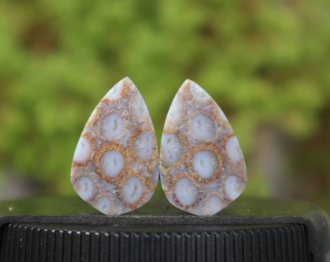 Coral agate pair,Agate rock,Agate stone, Malachite Gemstone,Agate crystal meaning,Larima gemstone,Flower agate,Tree agate,Fire agate