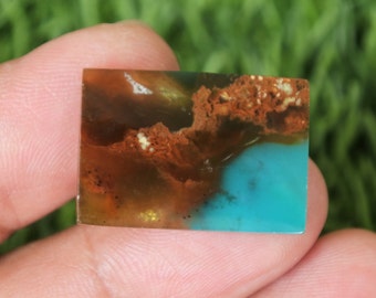 Blue Opalized petrified wood