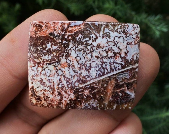 Java Sagenite Jasper