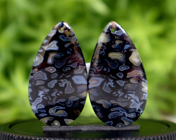 Fossilized Black Palm Tree Earring Pair