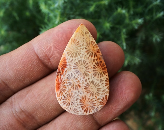Coral agate,Agate rock,Agate stone, Malachite Gemstone,Agate crystal meaning,Larima gemstone,Flower agate,Tree agate,Fire agate