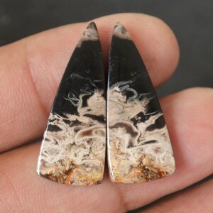 Fossilized Palmroot Agate Earring Pair: Gemstone Rock