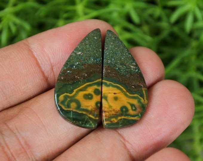 Ocean Jasper Earring Pair