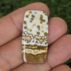 Puede incluir: Una gema rectangular con una superficie pulida. La piedra presenta una base crema con manchas y bandas marrones y verdes. La parte inferior es de color marrón oscuro. La gema se sostiene en una mano.