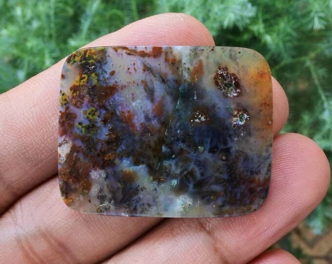 Plume Multicolor Opalized Petrified Wood