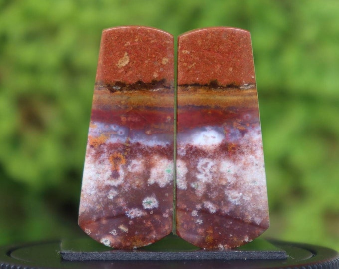 Plume Multicolor Opalized Petrified Wood Earring Pair