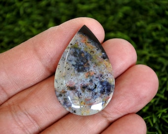 Multicolour Opalized Petrified Wood