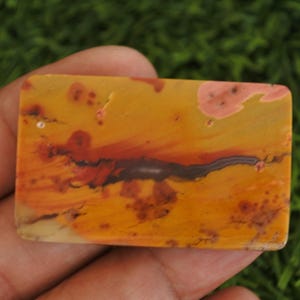 May include: A rectangular polished gemstone cabochon featuring a warm color palette of mustard yellow, burnt orange, and deep red. The stone displays natural organic patterns with dark brown linear inclusions and soft pinkish-tan mottled spots.