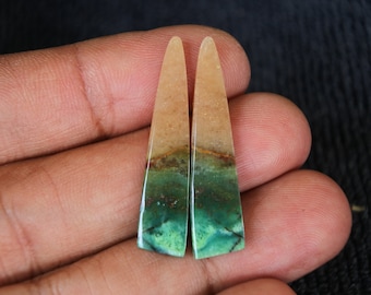 Opalized Wood Earrings