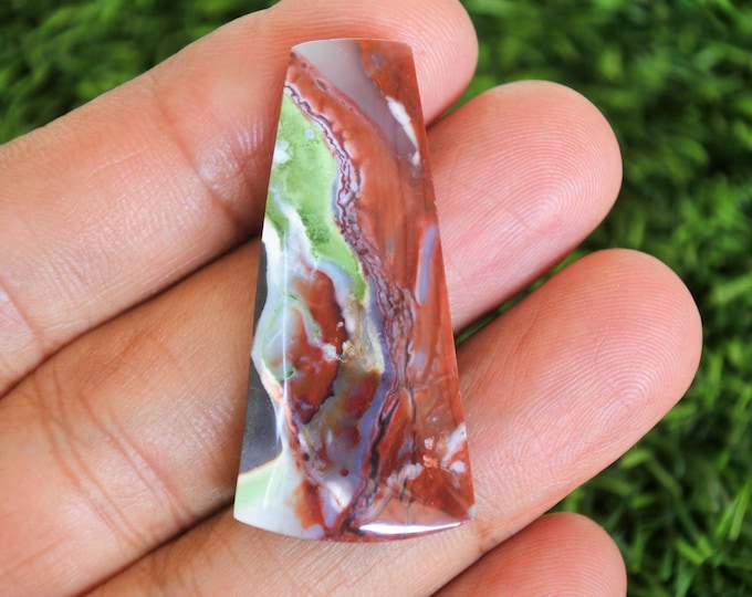 Multicolor Opalized Wood