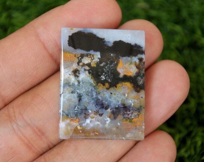 Multicolor Opalized Wood