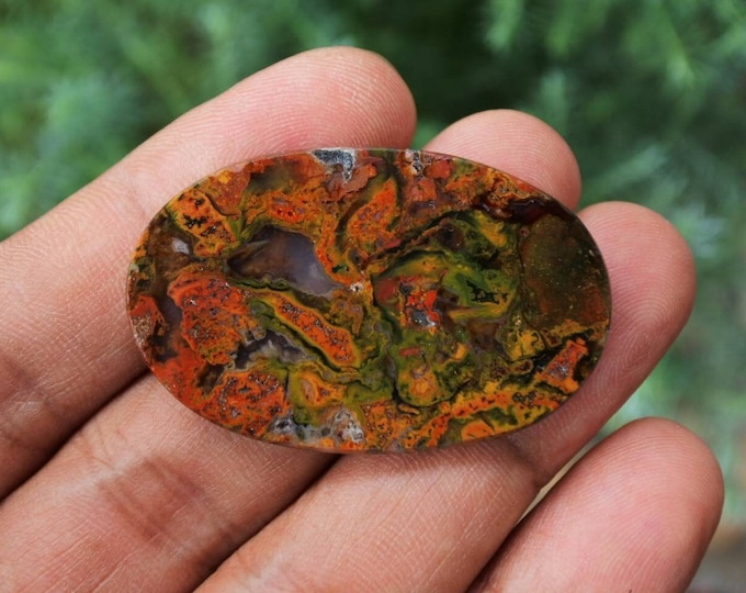 Java Jasper
