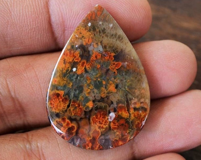 Plume Multicolor Opalized Petrified Wood