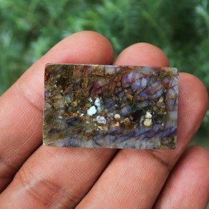 Plume Multicolor Opalized Petrified Wood