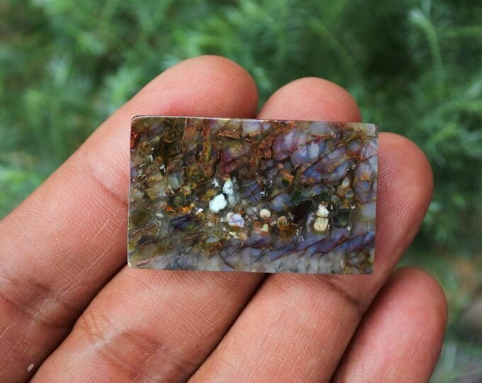 Plume Multicolor Opalized Petrified Wood