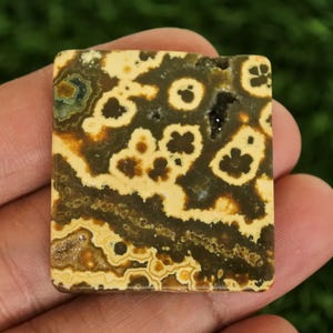 Puede incluir: Gema cuadrada con un patr&oacute;n &uacute;nico de remolinos y manchas de color beige, marr&oacute;n y verde oscuro. La piedra se sostiene en una mano, mostrando sus colores y texturas naturales. Esta piedra pulida podr&iacute;a usarse para joyer&iacute;a u otras manualidades.