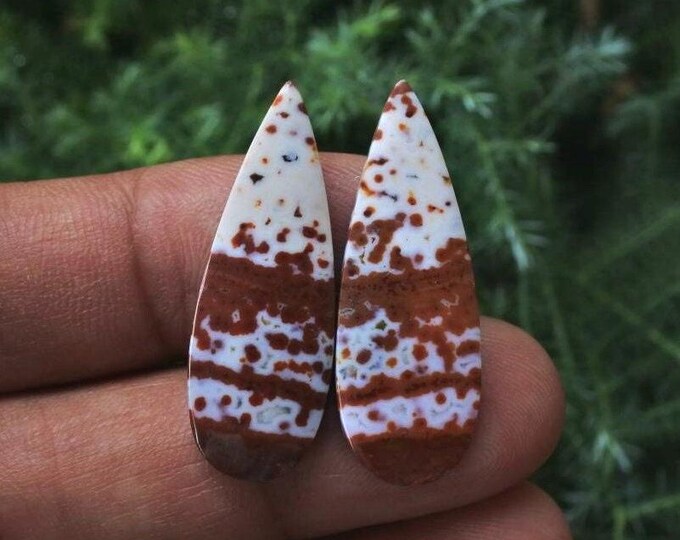 River Jasper, Ocean Jasper, Earring Pair