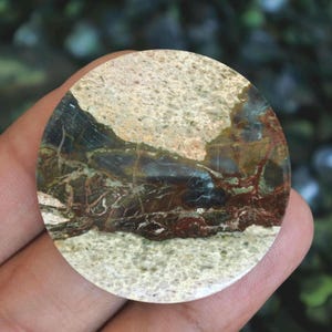 May include: A circular polished gemstone cabochon featuring a landscape-like pattern with bands of beige, speckled cream, deep brown, and dark forest green. The stone has a smooth, glossy surface with intricate natural veining and mineral inclusions.