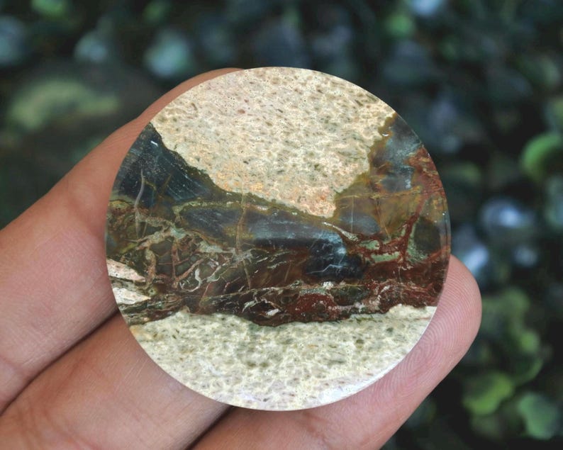 May include: A circular polished gemstone cabochon featuring a landscape-like pattern with bands of beige, speckled cream, deep brown, and dark forest green. The stone has a smooth, glossy surface with intricate natural veining and mineral inclusions.