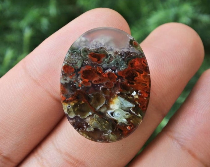 Plume Multicolor Opalized Petrified Wood