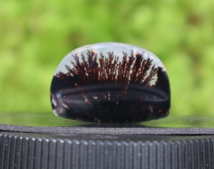 Dendritic agate,Agate rock,Malachite Gemstone,Mohs scales of mineral hardness,Agate crystal meaning,Larima gemstone,Flower agate,Tree agate