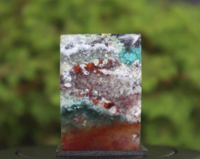 Multicolor Opalized wood