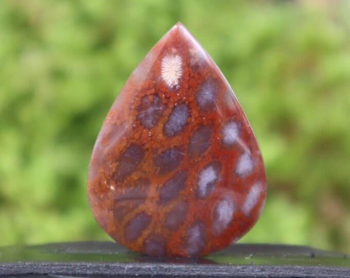 Coral agate,Agate rock,Agate stone, Malachite Gemstone,Mohs scales of mineral hardness,Agate crystal meaning,Larimar gemstone,Tree agate