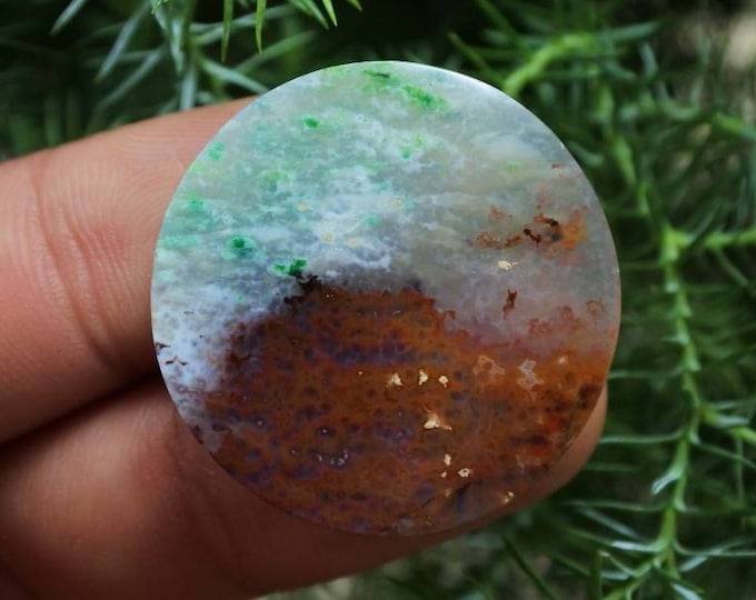 Blue Opalized petrified wood
