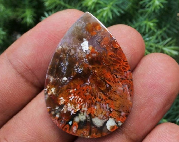 Plume Multicolor Opalized Petrified Wood
