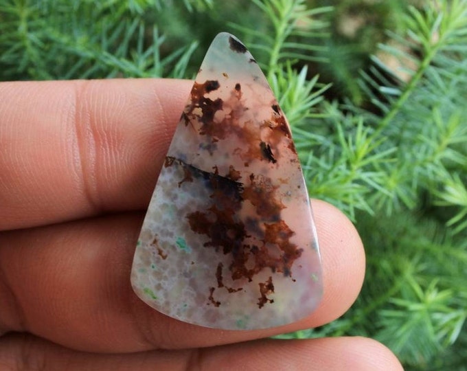 Blue Opalized petrified wood