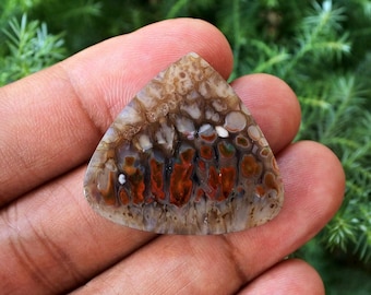 Plume Opalized Wood