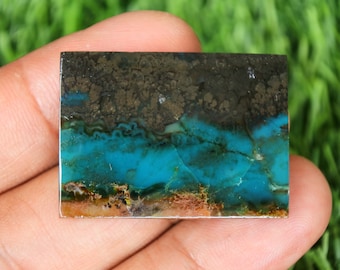 Scenic Blue Opalized Petrified Wood