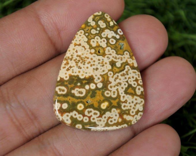 Java River Jasper