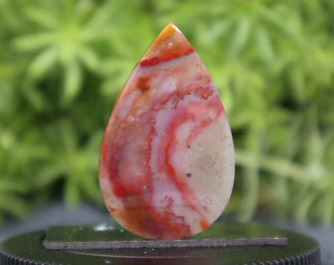 Multicolor Opalized wood