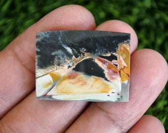 Multicolour Palmwood Cabochon (30x22x3mm)