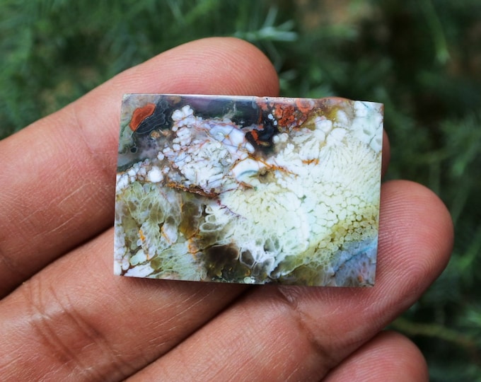 Plume Multicolor Opalized Petrified Wood