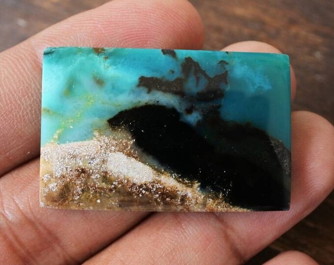 Blue Opalized petrified wood