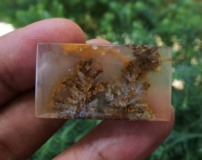 Plume Moss Agate
