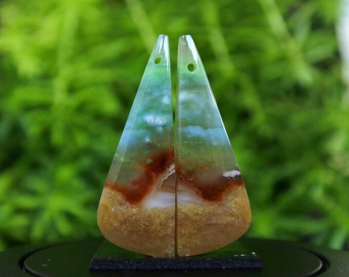Opalized Wood Earring Pair