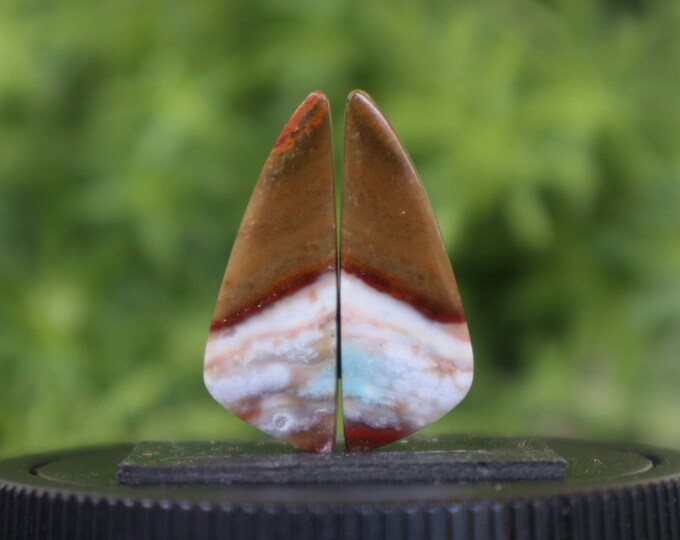 Opalized Petrified Wood Earring Pair