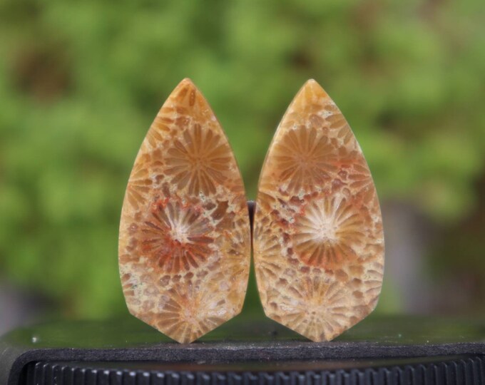 Coral agate pair,Agate rock,Agate stone, Malachite Gemstone,Agate crystal meaning,Larima gemstone,Flower agate,Tree agate,Fire agate