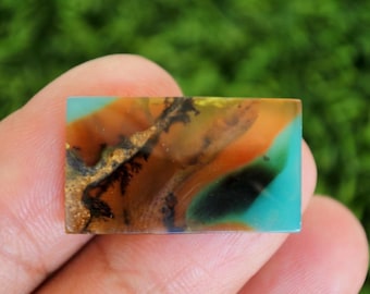 Blau opalisiertes versteinertes Holz