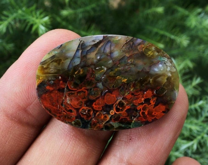 Plume Multicolor Opalized Petrified Wood