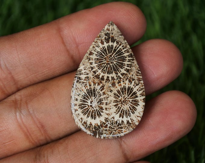 Coral agate,Agate rock,Agate stone, Malachite Gemstone,Agate crystal meaning,Larima gemstone,Flower agate,Tree agate,Fire agate
