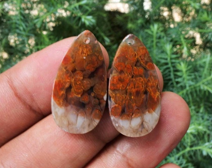 Plume Multicolor Opalized Petrified Wood Earring Pair