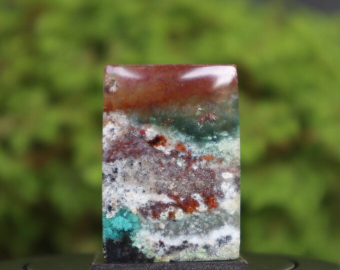 Multicolor Opalized wood