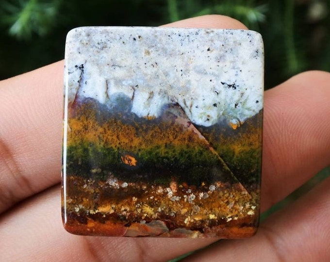 Multicolor Opalized wood