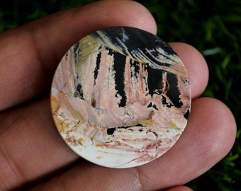 Fossilized Palmwood Gemstone,Petrified Wood