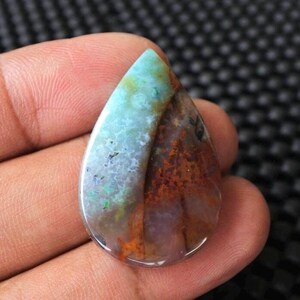 Scenic Blue Opalized Petrified Wood