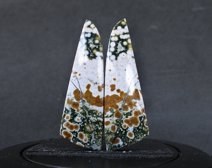 Multicolor Jasper Earring Pair